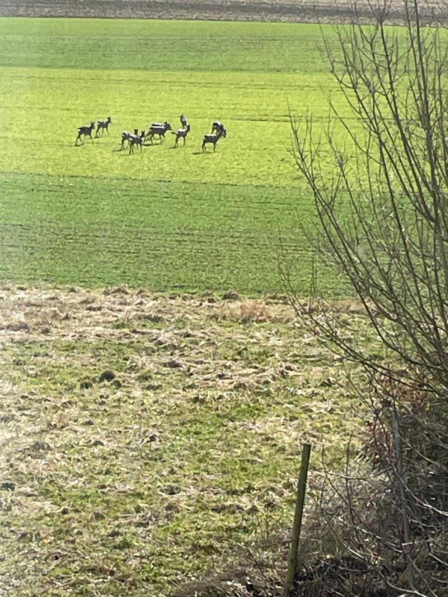 Apartmán Feierabend Gottmadingen Exteriér fotografie